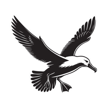 recommend clip art: Albatross silhouette, Diomedeidae Bird Clipart, A Albatross Hovering illustration in black and white