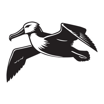 recommend clip art: Albatross silhouette, Diomedeidae Bird Clipart, A Albatross in Profile illustration in black and white