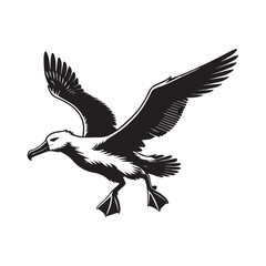 Fototapeta premium Albatross silhouette, Diomedeidae Bird Clipart, A Albatross Taking Off illustration in black and white