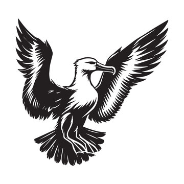 recommend clip art: Albatross silhouette, Diomedeidae Bird Clipart, A Albatross with Wings Spread illustration in black and white