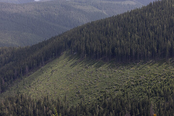 An idealistic mountain landscape with towering mountains and cleared forested areas on the slopes.