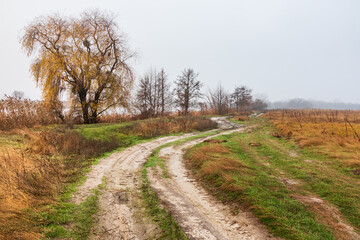 Fototapeta premium Dirt winding country road in a grassy meadow near a river on a foggy autumn day