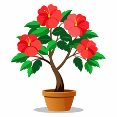  hibiscus tree in pot vector