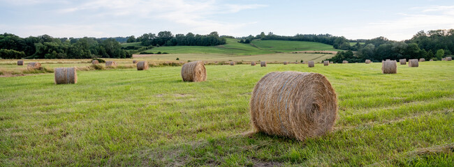 hay bales in grass fields of french champagne ardennes region