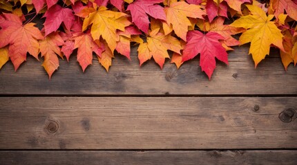 Obraz premium Dark wood backdrop with vibrant autumn leaves bordering top 