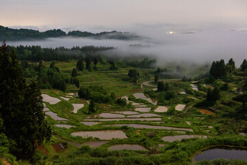 日の出と共に深かった霧が薄くなり始める
