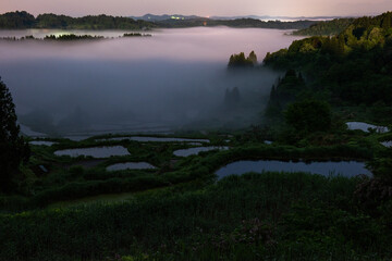 雲海に覆われた春の棚田