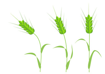 Clip art of three green wheat swaying in the wind