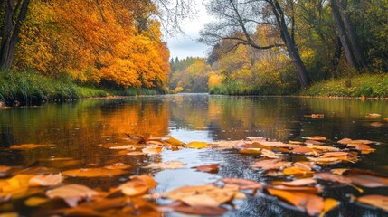Fototapeta premium Autumn River with Fallen Leaves