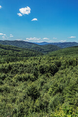 Obraz premium Landscapes - Forest - Europe, Romania, Suceava region