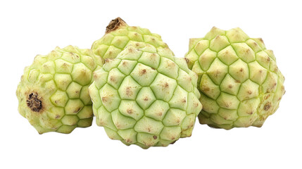 Fototapeta premium Fresh Green Custard Apples