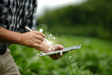 Businessman gardener using tablet Viewing potato plant picture of potato leaves in harvest season...
