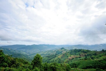 Obraz premium The mountainous landscape of the tropical forest in Nan Province, Thailand is a paradise for drivers and nature tourists.