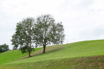 The mountainous landscape of the tropical forest in Nan Province, Thailand is a paradise for drivers and nature tourists.