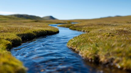 Naklejka premium Calm stream winding through soft landscape with copy space, focus on all objects, deep depth of field