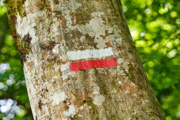 A french GR or Grande Randonnée footpath sign on a tree in Southern France. A GR is a major footpath crossing several regions in France and is marked as a red and white horizontal stripe.