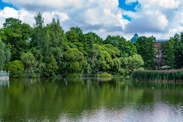 lake in the park