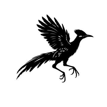 recommend clip art: roadrunner silhouette