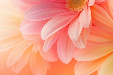Obraz premium gerbera