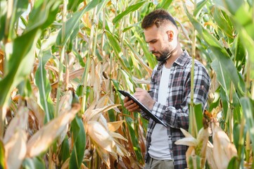 successful agriculturist in field of corn