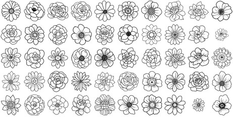 Set Of Linear Flower Line Art Isolated Silhouette Solid Icons With Floral,Invitation,Romantic,Flower,Ornament Vector Icons Illustration Collection
