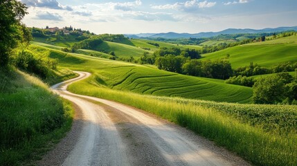 Fototapeta premium Winding Road Through Rolling Hills