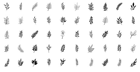 A Collection Of Foliage Isolated Silhouette Solid Icons With Leaf,Foliage,Plant,Tropical,Floral Pictograms And Infographics Design Elements Vector Illustration