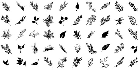 Mega Set Of Vector Foliage Icons Silhouette Vector Logo Design Containing Verdure,Foliage,Leafage,Greenery,Plant Vector Illustration Linear Pictogram Pack