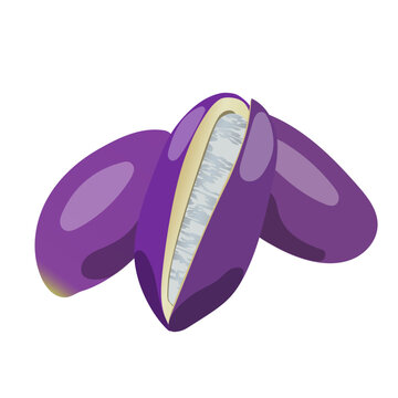 アケビ」の写真素材 | 2,181件の無料イラスト画像 | Adobe Stock