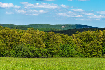 Autumn colorful coniferous forest, mountains from above. View on green mountain meadow with forest and perfect blue sky on the background. Wonderful nature landscape. Amazing natural Background