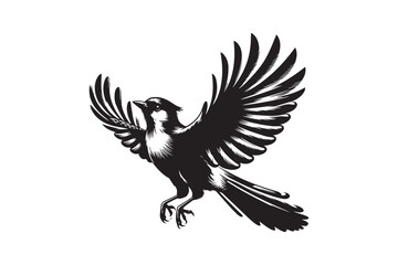 Jay bird silhouette vector illustration