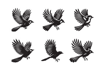 Jay bird silhouette vector illustration