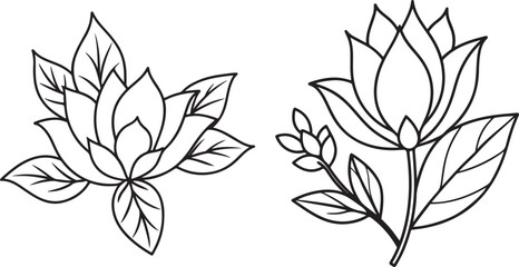 black and white flowers