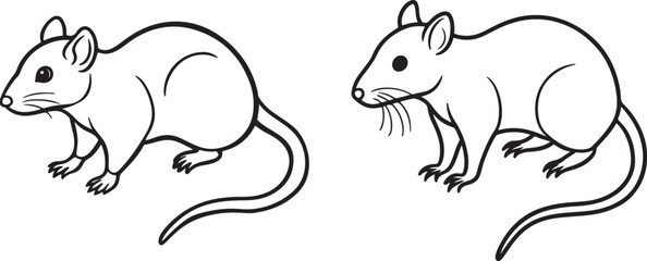 illustration of a black and white rabbit