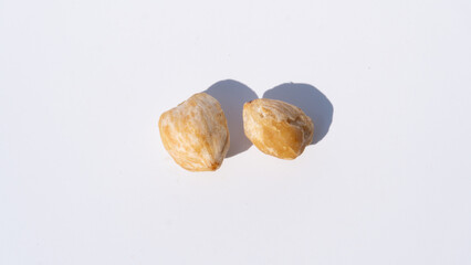 Two Raw Candlenut Seeds Illuminated by Natural Light, Casting Distinct Shadows on a White Background