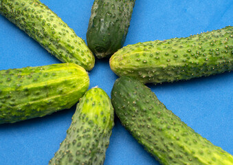 Cucumbers on blue background