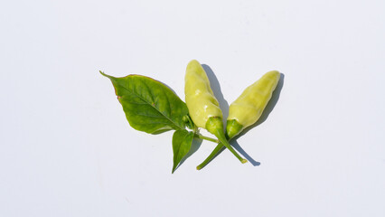 Two Green Chilies on a Plain White Surface