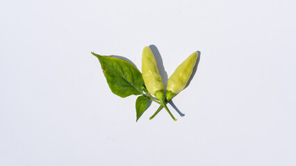 Two Chili Peppers in Green Color on a Clean White Background