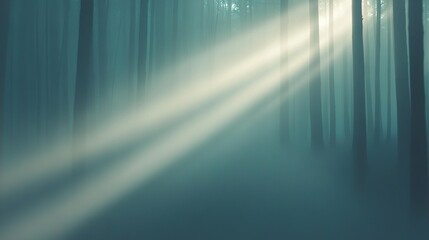   A foggy forest brimming with numerous trees and a luminous beacon emanating from the treepeak