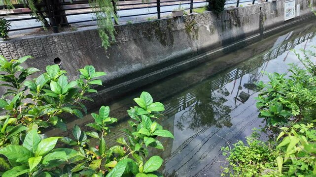 夏の長崎県対馬市厳原の風景
