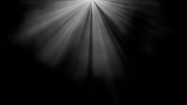 Smooth animation of light rays from the top of the screen. White rays of light on black background glow in selva from top of frame. Looping animation of light. Isolated animation of white light rays. 