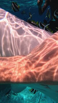 Huge stingray attacking a young man underwater and he pushes it away with his hand