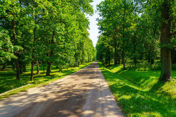 A dirt path through a park with lush green trees during the daytime in summer.