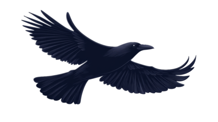 Raven in Flight, Black Bird