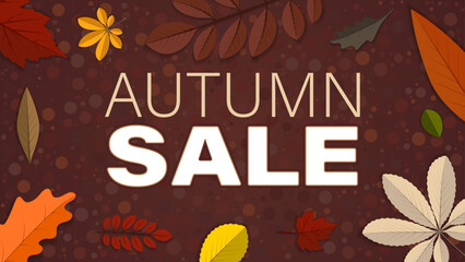 Fototapeta premium Beautiful autumn poster with different tree leaves, vector illustration. Usable for autumn sales promotions, autumn season designs, and Thanksgiving greeting cards.