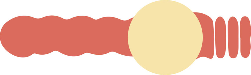 A dynamic and versatile headline shape with smooth, flowing curves. This vector is perfect for adding a contemporary flair to advertisements, social media graphics, and editorial layouts.