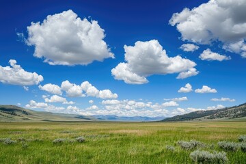 Obraz premium A serene landscape featuring lush green grass under a vivid blue sky adorned with fluffy white clouds.