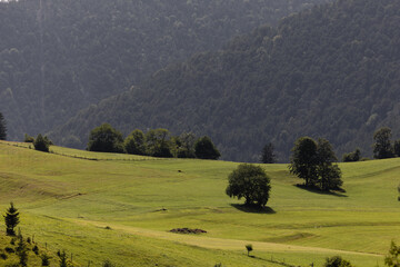 Beautiful panoramic view of idyllic alpine mountain scenery with blooming meadows and snowcapped mountain peaks in scenic golden afternoon light on a sunny day with blue sky and clouds in springtime