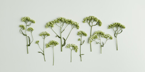 Autumn, fall concept. Minimal aesthetic autumn top view with dry flowers on green background, nature autumnal decor, floral still life, minimal trend flat lay pattern of natural forest flowers