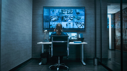 Back view of female CCTV operator watching security cameras on computer, talking on landline phone....